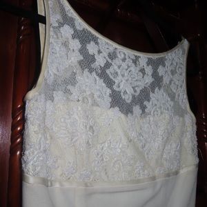 Vintage ivory embroidered knee length dress